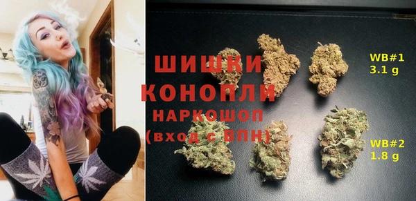 spice Алзамай