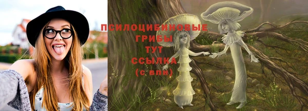 spice Алзамай